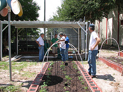 urban farming detroit